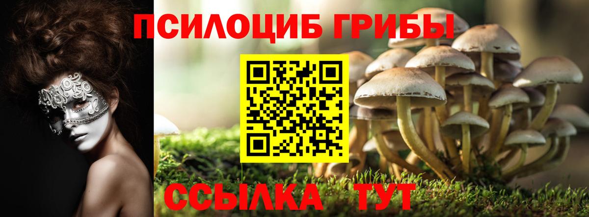 Псилоцибиновые грибы Magic Shrooms  Вход с VPN  Галлюциногенные грибы ЛСД  Моздок 