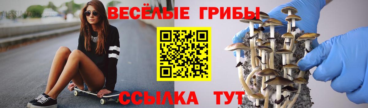 Псилоцибиновые грибы GOLDEN TEACHER Моздок